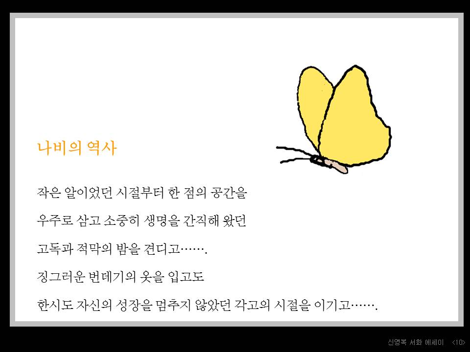 12. 나비의 역사.JPG